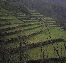 terrazzamenti - fasce